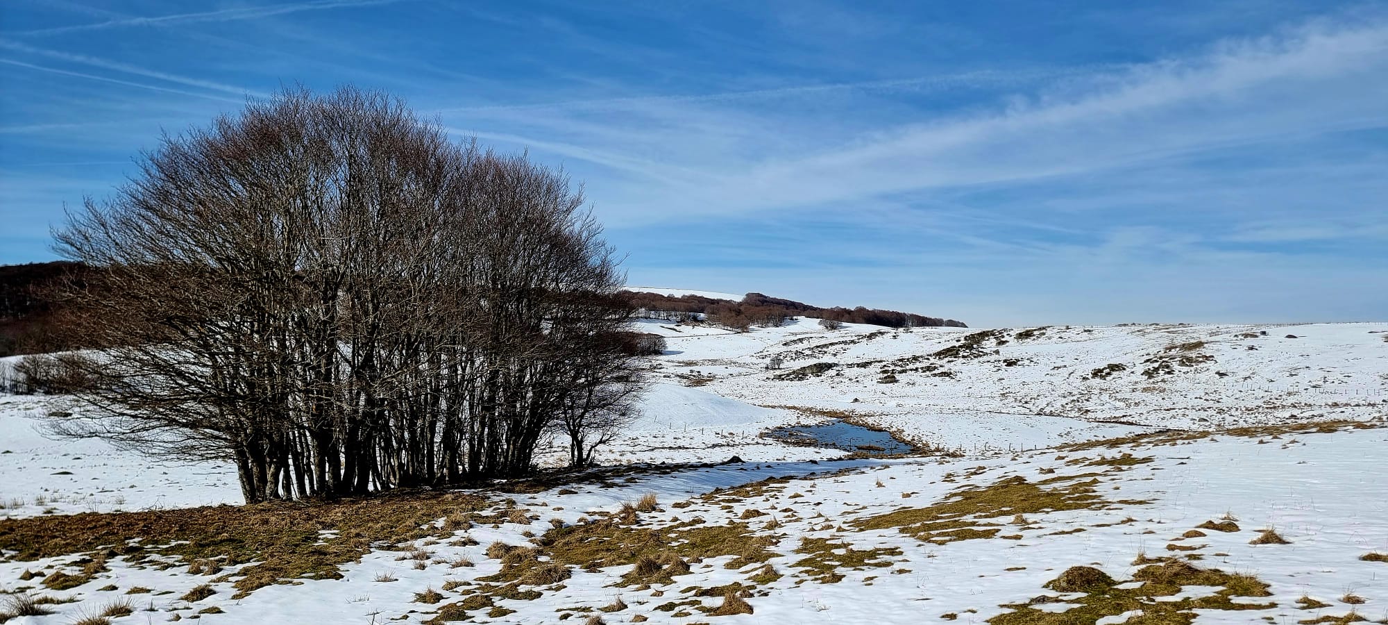 Vue aérienne du domaine Cuvelier au lever du jour